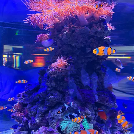 Séjour chez l'habitant Geniale Cerca De Russafa Valence